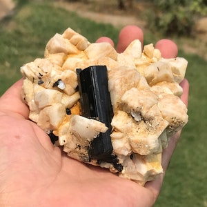 Natural Terminated Black Tourmaline Crystal with feldspar / Healing Crystal  (08)