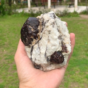 Spécimen de combinaison de cristaux de grenat almandin naturels avec matrice du Baloutchistan, Pakistan (S10)