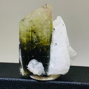 May include: A natural mineral specimen featuring a bi-colored tourmaline crystal. The crystal transitions from a light green to a dark green hue, with a white quartz formation on the side. The specimen is mounted on a small, round base.