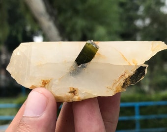 Cristal de turmalina com tampa verde lindamente terminado, com cristal de quartzo (P7)