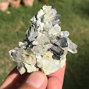 Natural Rare Brookite Crystal Blade with Clear Quartz Cluster Specimen  (00)