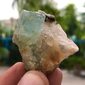 Blue Aquamarine Crystal With Black Tourmaline and Feldspar  (P9)