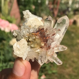 Stelletje zeldzame bruine brookietkristallen / bladen op heldere kwartscluster uit Baluchistan, Pakistan (OO)
