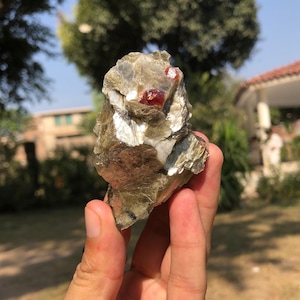 Könnte beinhalten: Ein raues, natürliches Mineralexemplar mit einem geschichteten, silbrig-grünen Aussehen. Der Stein hat mehrere kleine, tiefrote Kristalle, die in seine Struktur eingebettet sind. Das Exemplar wird in einer Hand vor einem verschwommenen Hintergrund im Freien gehalten.