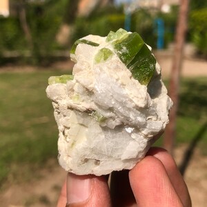 Terminated Green Tourmaline Crystal With feldspar Specimen (S4)