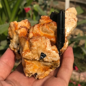 Schorl / Black Tourmaline Crystals with Feldspar Combine Specimen From Pakistan  (01)
