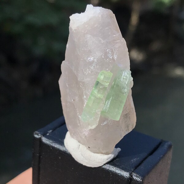 Terminated Green Tourmaline Crystal With Quartz Specimen/ Adularia  (03)