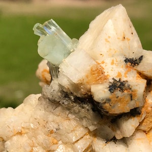 May include: Close-up of a mineral specimen featuring a pale blue-green aquamarine crystal formation. The aquamarine is set against a backdrop of white, crystalline matrix with dark inclusions. The natural light highlights the crystal's clarity.