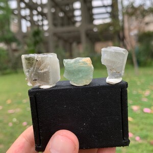 3 Pieces Terminated Apatite Crystal with Black Tourmaline Inclusion Specimen from Skardu Pakistan (P9)