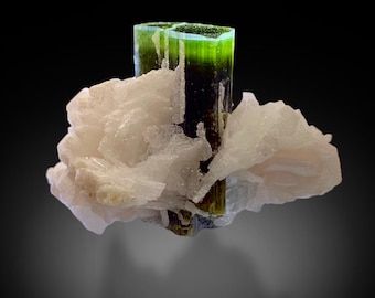 Tri-Cap Purple / Blue & Green Cap Tourmaline Terminated Crystal With Cleavelandite Combine Miniature Specimen From Skardu Pakistan (P18)