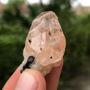 Natural Terminated Topaz Crystal with Black Tourmaline Crystal Specimen  (00)