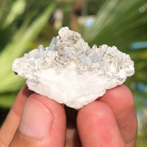Terminated Blue Aquamarine Crystals With Muscovite Combine Specimen (Drz)