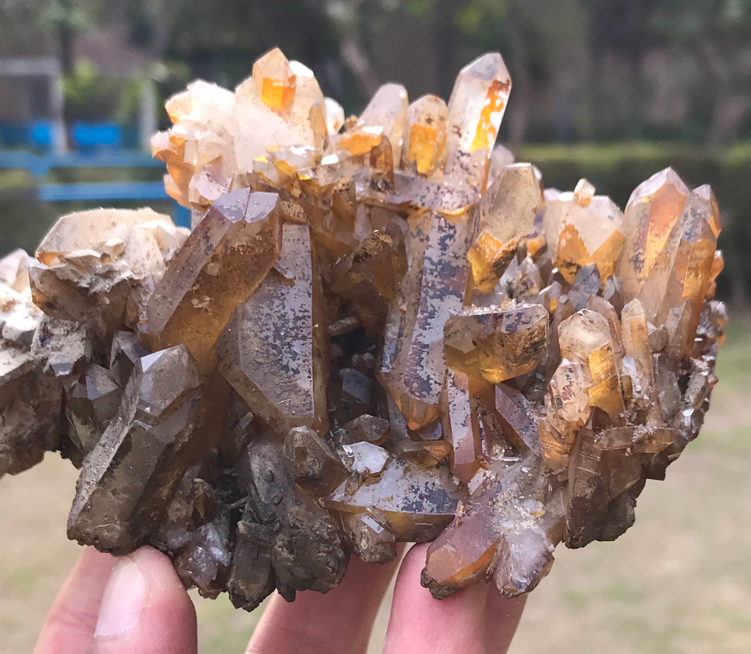 金色の水晶クラスター（鉄染色/金染色）水晶クラスター。バルチスタン
