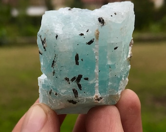Gemmy Blue Aquamarine Crystal With Black Tourmaline Crystal Specimen  (S5)