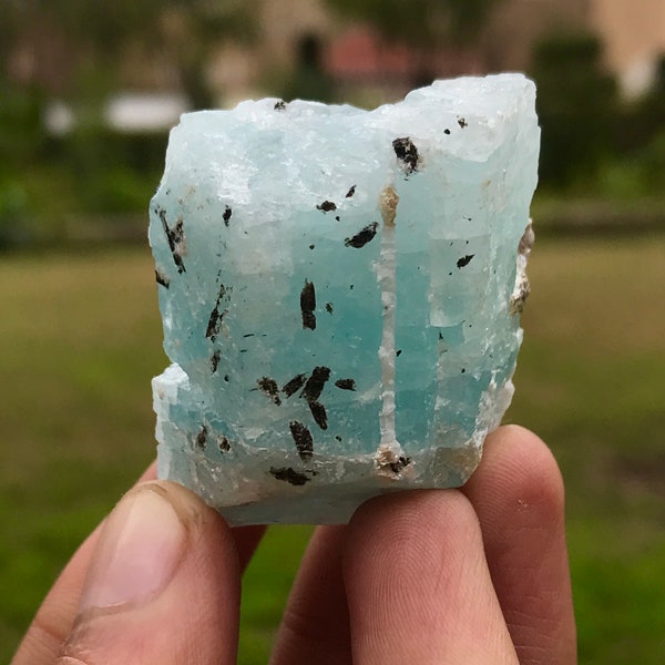 Gemmy Blue Aquamarine Crystal With Black Tourmaline Crystal Specimen  (S5)