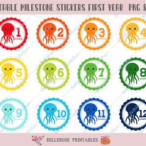 Méduse arc-en-ciel, autocollant d'étape, imprimable, fichier numérique, autocollants d'étape mensuelle, du nouveau-né au premier an, cartes d'étape, PNG, JPG