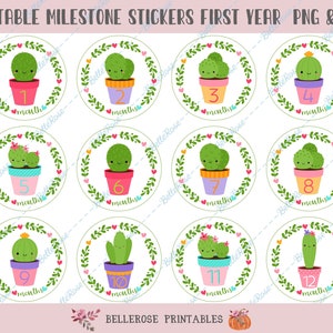 Cacto Kawaii, adesivo Milestone, para impressão, arquivo DIGITAL, adesivos mensais Milestone, do recém-nascido ao primeiro ano, cartões Milestone, PNG, JPG