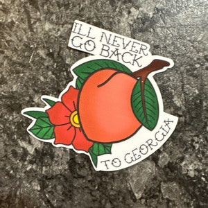 Georgia - Mayday Parade - Matte Vinyl Sticker - Decal For Laptops, Water Bottles, Phone Case