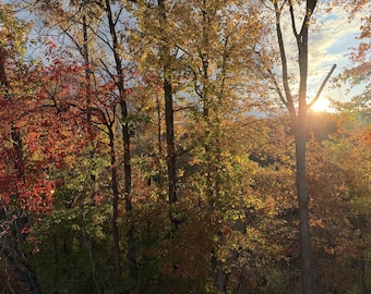 Outdoor Fall Photography