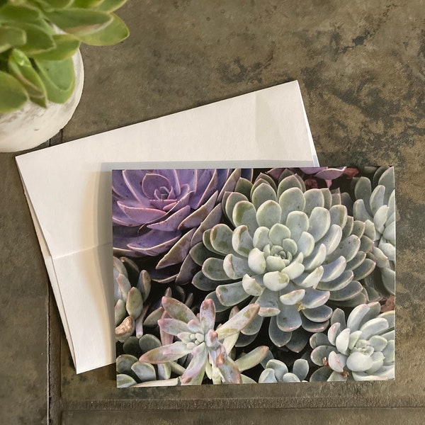 Note Cards, Floral Blank Note Cards, Set of 6, Succulent Photo Note Cards, Floral Note Cards Blank with Envelopes, Succulents