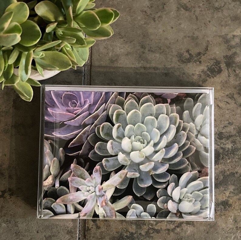Succulent Note Cards: Floral Blank Cards With Envelopes - Set of 6 - Etsy