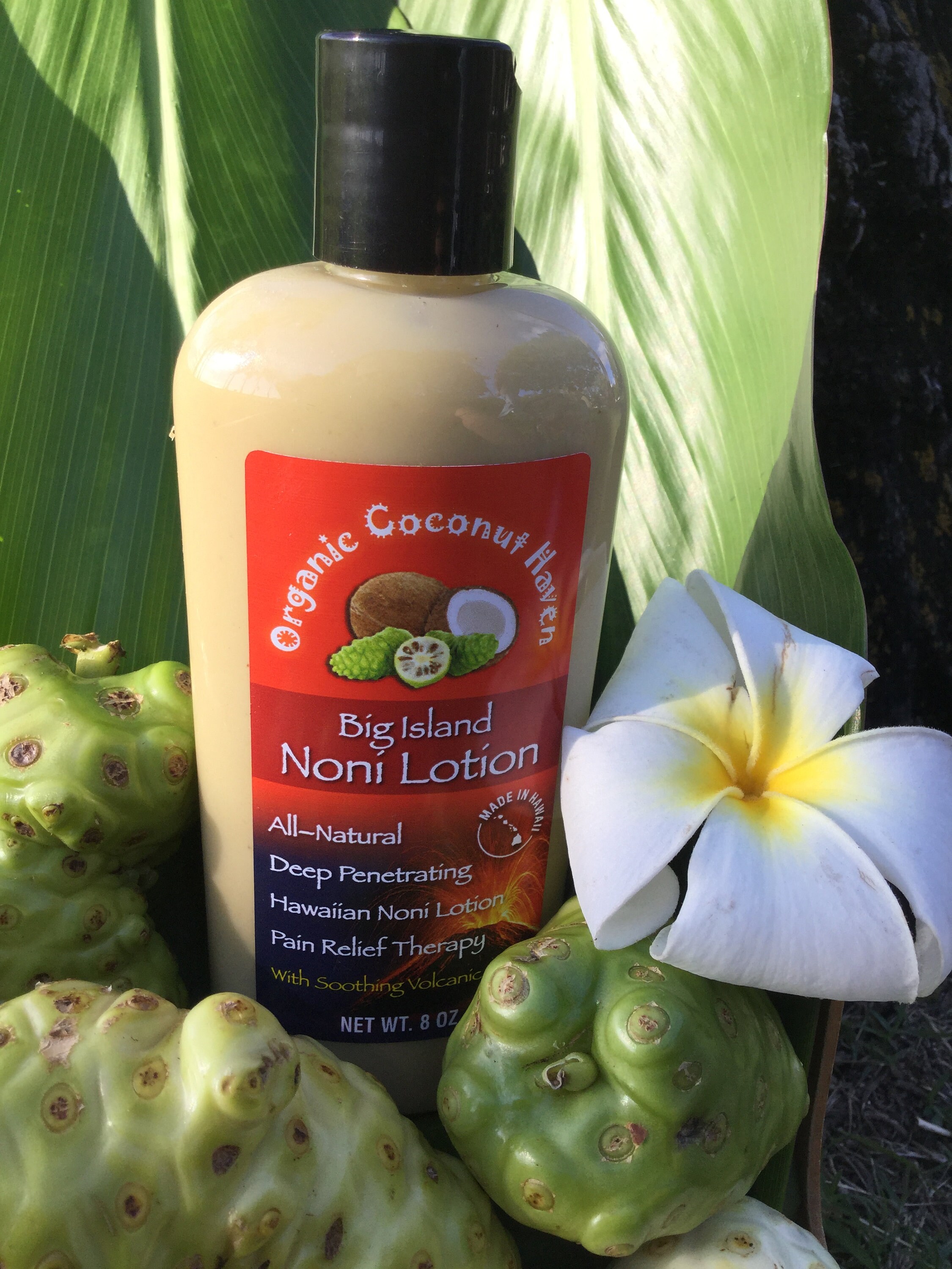 8oz. Big Island Noni Lotion All Natural Pain Relief Therapy Etsy