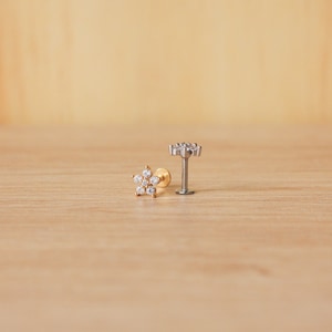 16G Stainless Steel APRICOT Flower Piercing Stud - Tragus Earrings - Dainty Piercing - Helix Earrings - Cartilage Piercing