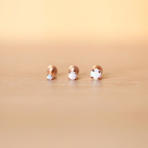 16G Screwback Rosegold Tiny White Opal 2mm 3mm 4mm Tragus/Helix/Kraakbeen/Conch Labret Stud - Flatback Screw-in - Tiny Nose Stud • Tiny Stud
