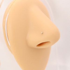 Piercing diminuto de oro macizo de 14 quilates, sin rosca, de 1,5 mm, para nariz, trago, cartílago, caracola y hélix delantero: aro para nariz con pasador a presión