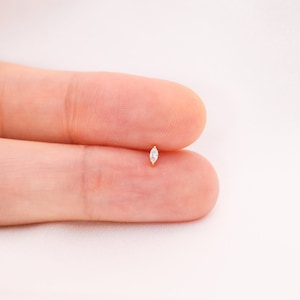 Petite boucle d'oreille marquise en or 14 carats - Labret tragus / cartilage / conque / hélice lobe de l'oreille - Clou en or délicat - Labret à épingles en or