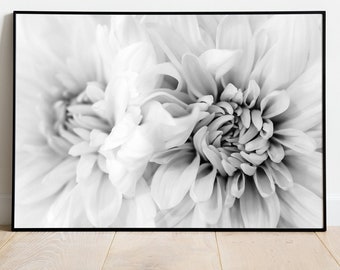 Dahlia Dreams - Printable Wall Art - Digital Download, Photography Poster, Black and White Flower Macro, Flora