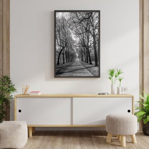 Cold Morning Printable Wall Art Digital Download, Photography Poster, Switzerland, Cityscape, Urban Park image 2