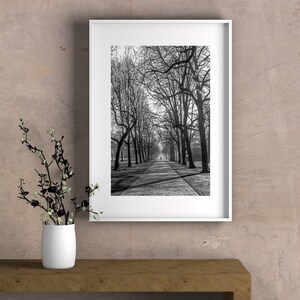 Cold Morning Printable Wall Art Digital Download, Photography Poster, Switzerland, Cityscape, Urban Park image 3