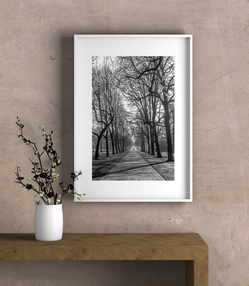 Cold Morning Printable Wall Art Digital Download, Photography Poster, Switzerland, Cityscape, Urban Park image 3