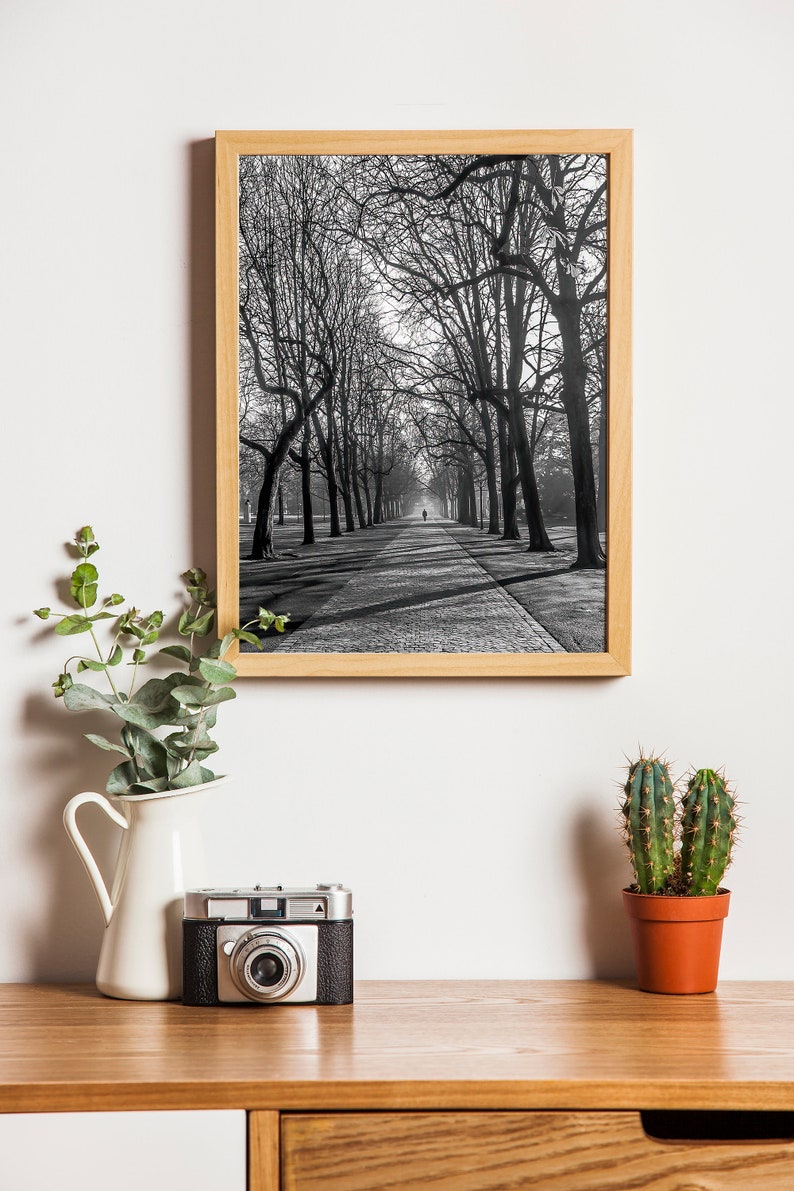 Cold Morning Printable Wall Art Digital Download, Photography Poster, Switzerland, Cityscape, Urban Park image 5