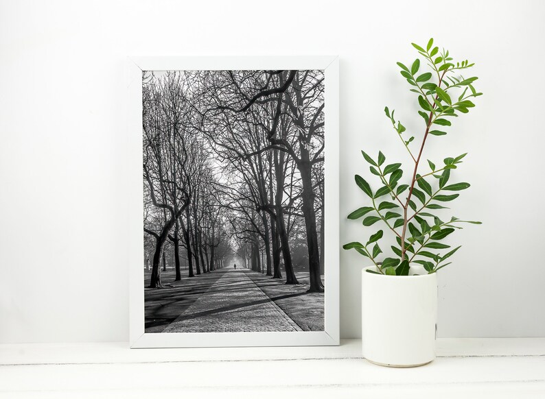 Cold Morning Printable Wall Art Digital Download, Photography Poster, Switzerland, Cityscape, Urban Park image 6
