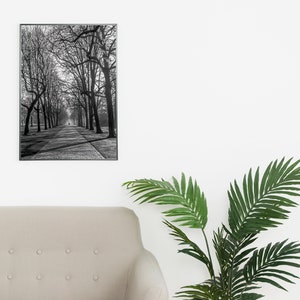 Cold Morning Printable Wall Art Digital Download, Photography Poster, Switzerland, Cityscape, Urban Park image 7