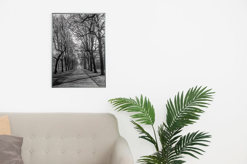 Cold Morning Printable Wall Art Digital Download, Photography Poster, Switzerland, Cityscape, Urban Park image 7