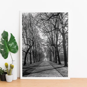 Cold Morning Printable Wall Art Digital Download, Photography Poster, Switzerland, Cityscape, Urban Park image 8