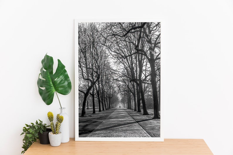 Cold Morning Printable Wall Art Digital Download, Photography Poster, Switzerland, Cityscape, Urban Park image 8