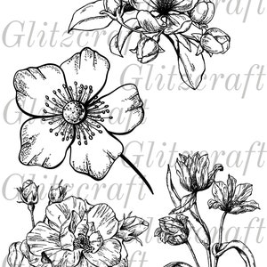 Zeer gedetailleerd bloemgezichtsbestand, bloemenkaart, beste wensen kaart maken, bloemhoofdkaart, afdrukbaar bloemontwerp, PDF, JPG, kaart maken