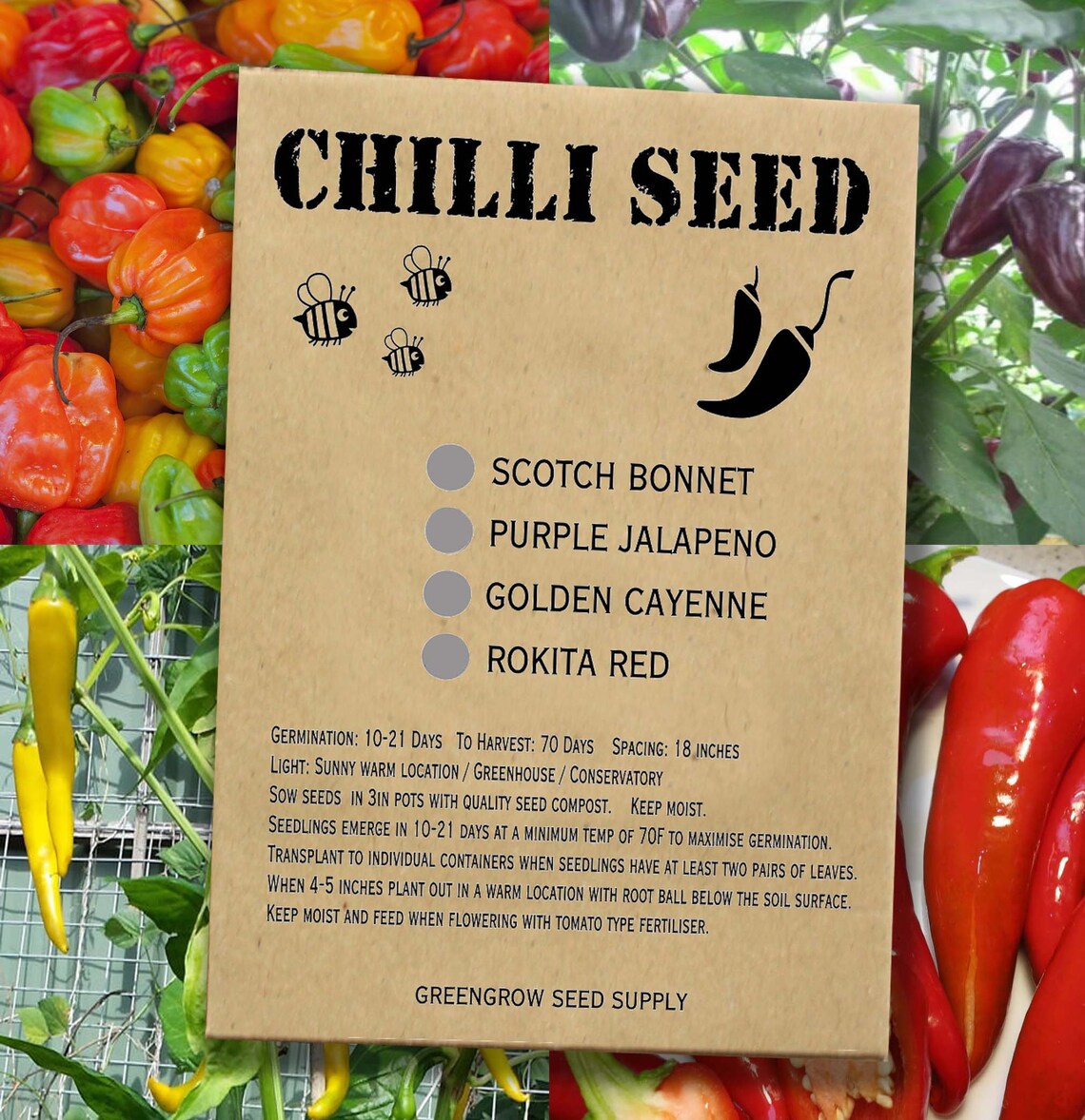 Chilli Chili Pepper Seed 1 packet each of rokita red golden Etsy