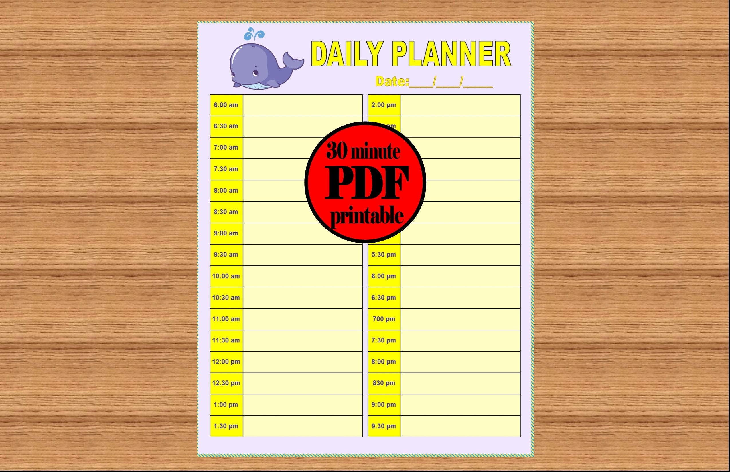 DAILY PLANNER PRINTABLE 30 minute kids tracker schedule to do | Etsy
