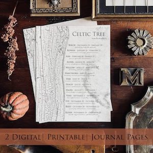 Celtic Tree Calendar & Meditation Worksheet | Witchy Worksheet | Meditation | Journal | Grimoire Pages | Book of Shadows | Digital Instant