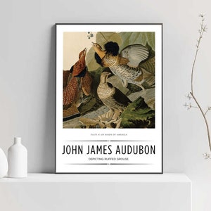 Vintage Art Print, John James Audubon Art Poster, Printable Wall Art, Oil Painting, Printable Poster, Downloadable Poster, Home Decor,