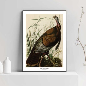 Vintage Art Print, Vintage Wall Art, Poster, Printable Wall Art, Oil Painting, Animal Poster, Downloadable Print Art, Home Decor, Animal Art