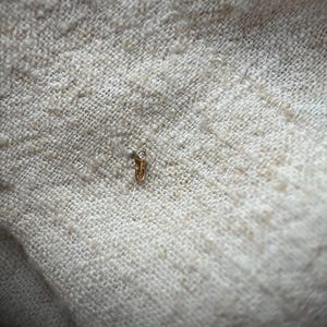 Micro diamond set in 9ct yellow gold ear stud natural tiny diamond. One single earring
