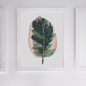 May include: A watercolor painting of a single pink and green leaf. The leaf is depicted in a realistic style with delicate brushstrokes.
