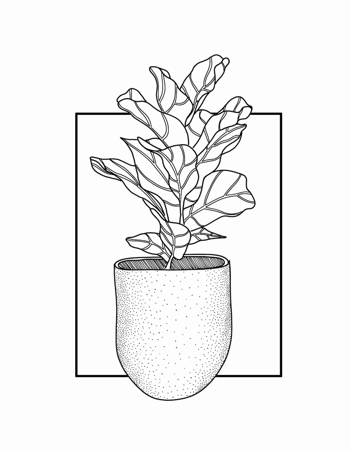 Fiddle Leaf Fig Illustration / Black and White/ Print 8.5x11 Etsy