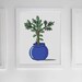 Jade Plant Illustration / Print, Letter Size, 8.5x11 / Digital Download ...